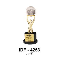 kapiltcg: -Trophy-Wooden and Metal Trophy IDF 4253 / L: 11